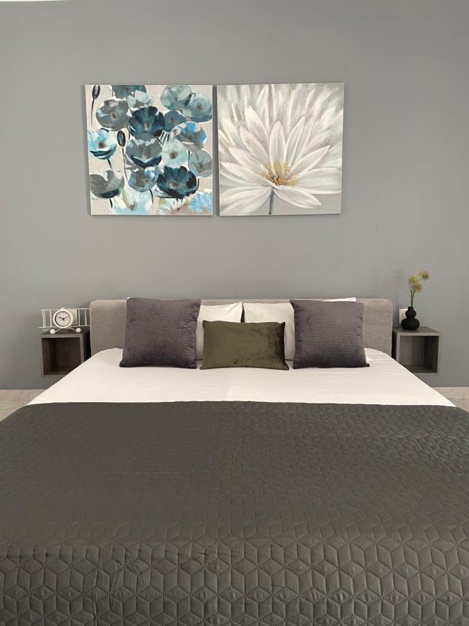 Leone Apartments With Free Parking Apartment *