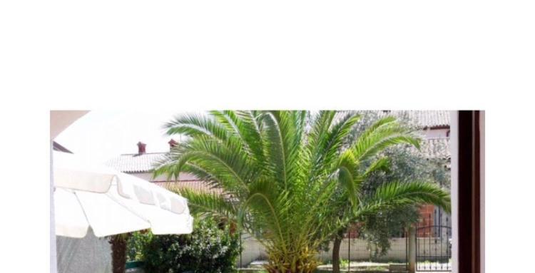 Apartment Leone Apartments With Free Parking